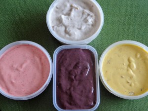 Vegan Friendly Ice Cream