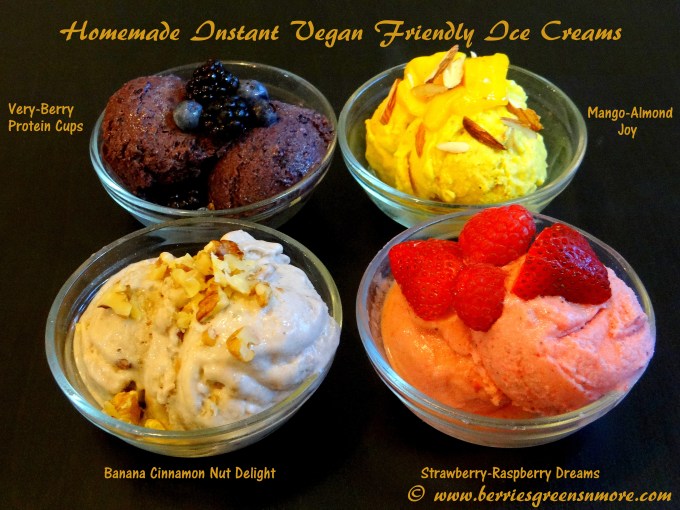 Vegan Friednly Ice Creams