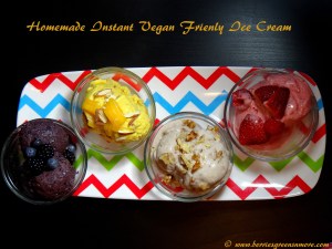 Vegan Friendly Ice Cream